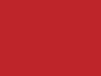 kleur 681 rood polo