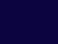 kleur 281 marine blauw polo