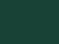 kleur 1197 donker groen dames vest