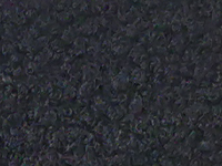 kleur 1195 damesvest 7261